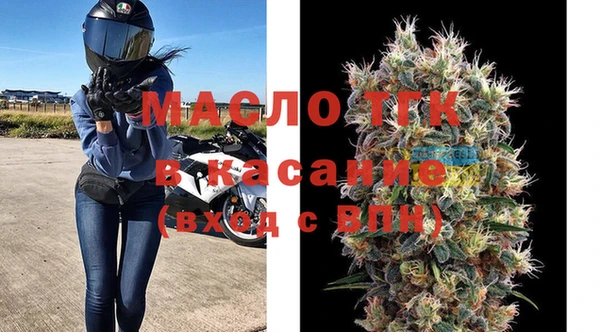 гашик Вяземский