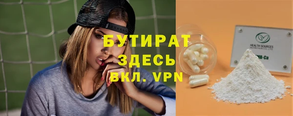 индика Володарск