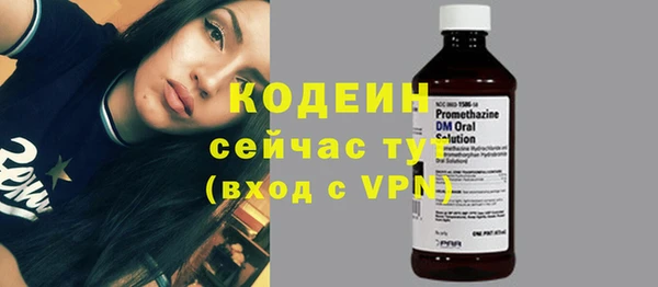 индика Володарск