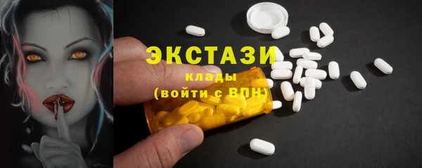 гашик Вяземский