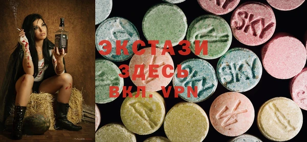 гашик Вяземский