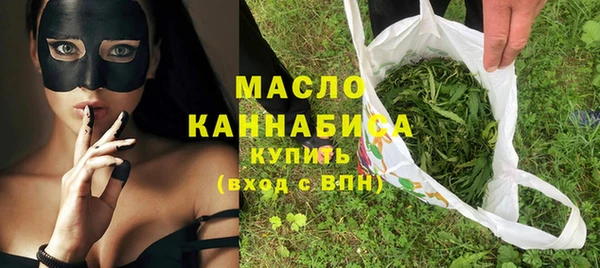 гашик Вяземский