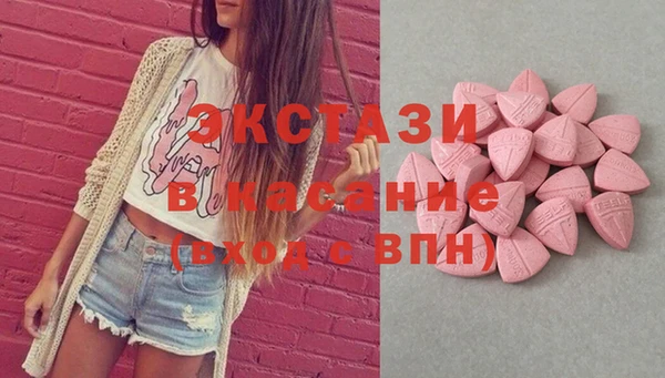 гашик Вяземский