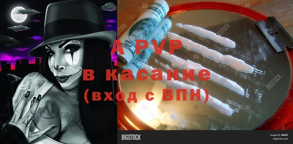 гашик Вяземский
