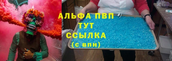 гашик Вяземский
