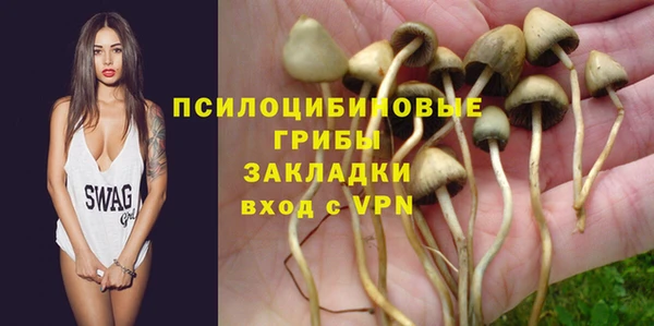 ГАЛЛЮЦИНОГЕННЫЕ ГРИБЫ Вязьма