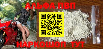 шишки Новодвинск