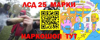 шишки Новодвинск