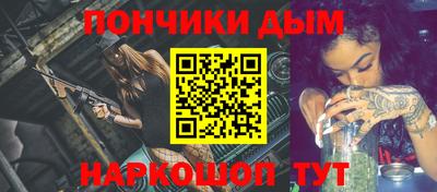 шишки Новодвинск