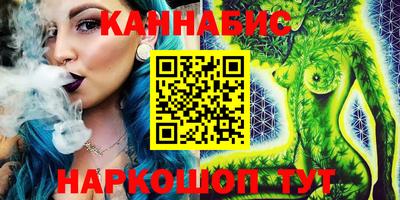 шишки Новодвинск