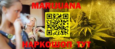 шишки Новодвинск