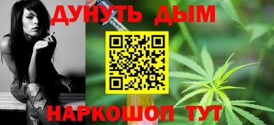 шишки Новодвинск