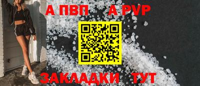 шишки Новодвинск