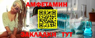 шишки Новодвинск