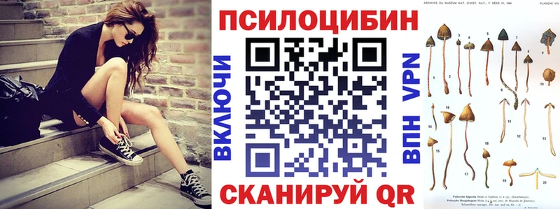 Галлюциногенные грибы Psilocybe  Таганрог 