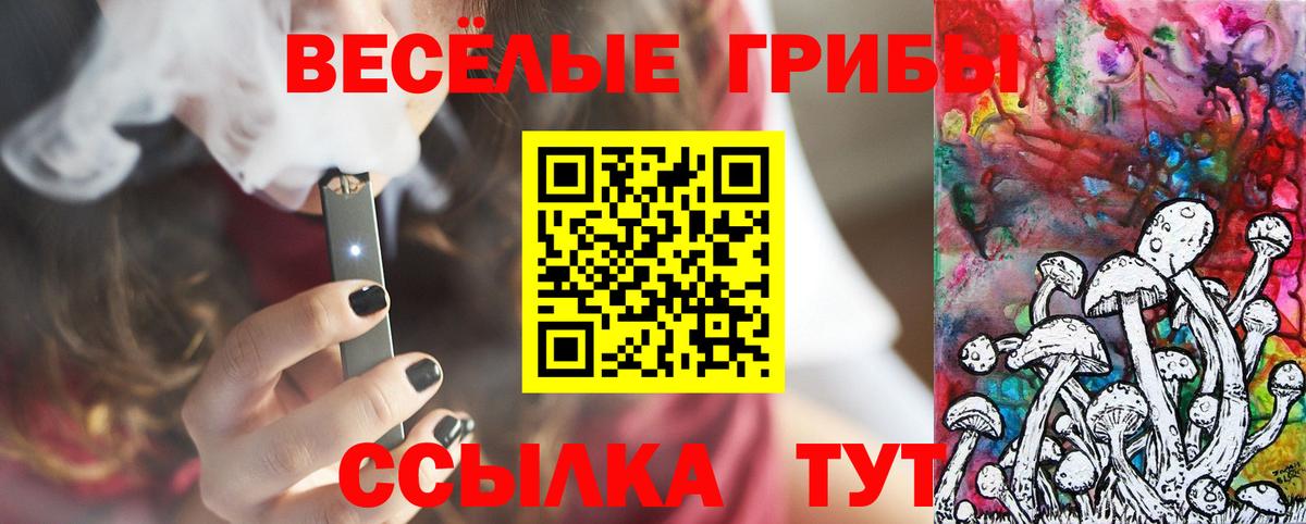 Псилоцибиновые грибы Cubensis Таганрог